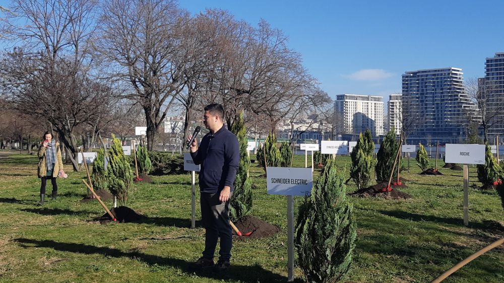 Kompanije iz Srbije donirale 250 stabala u okviru kampanje Trka za šume