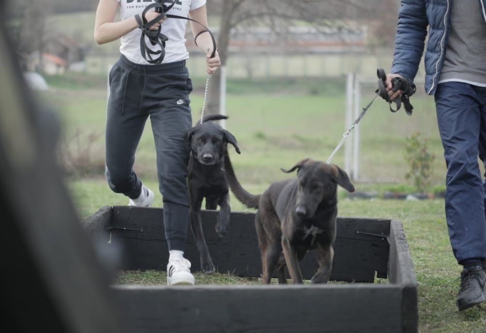 Ana and Vlade Divac Foundation Provided USD 1 Million in Support to the Most Vulnerable in 2025