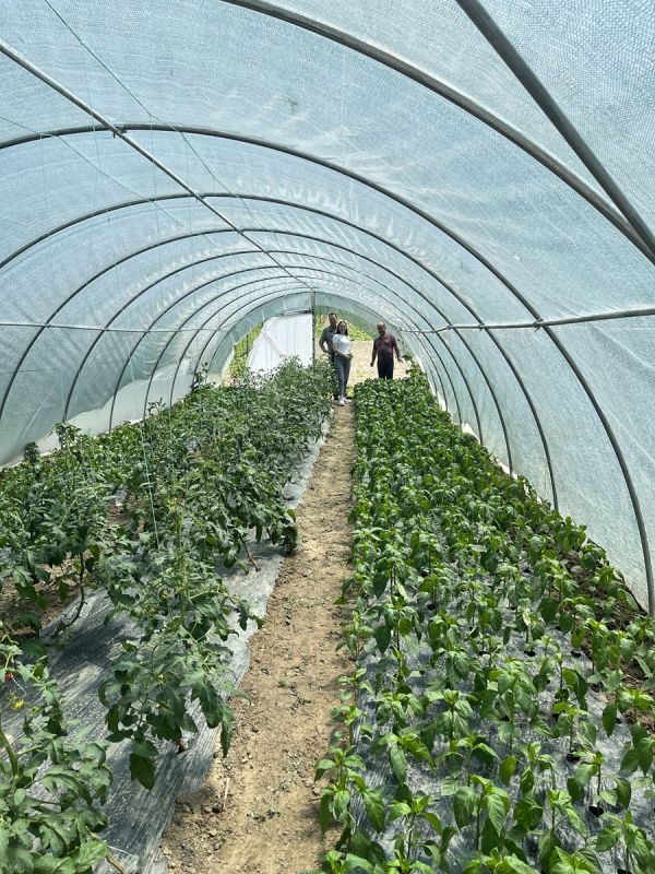 Fondacija Ana i Vlade Divac obezbedila milion dolara pomoći za najugroženije u 2025. godini