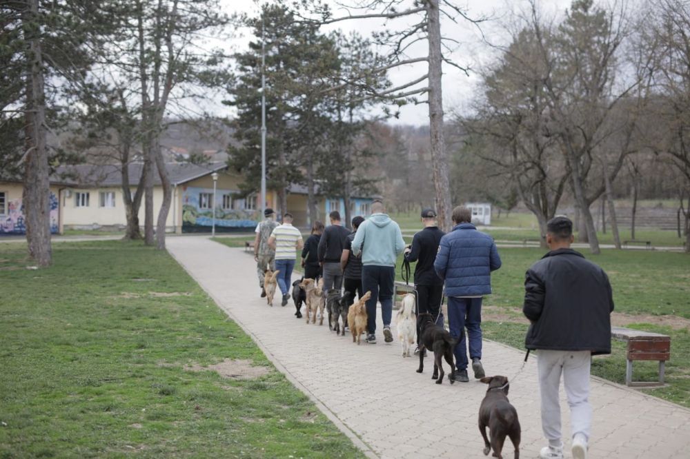 Obukom za rad sa psima do resocijalizacije maloletnih štićenika Vaspitno-popravnog doma