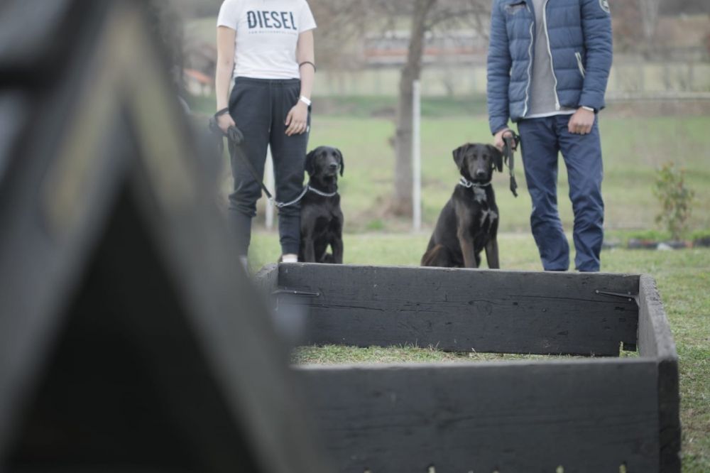 Obukom za rad sa psima do resocijalizacije maloletnih štićenika Vaspitno-popravnog doma