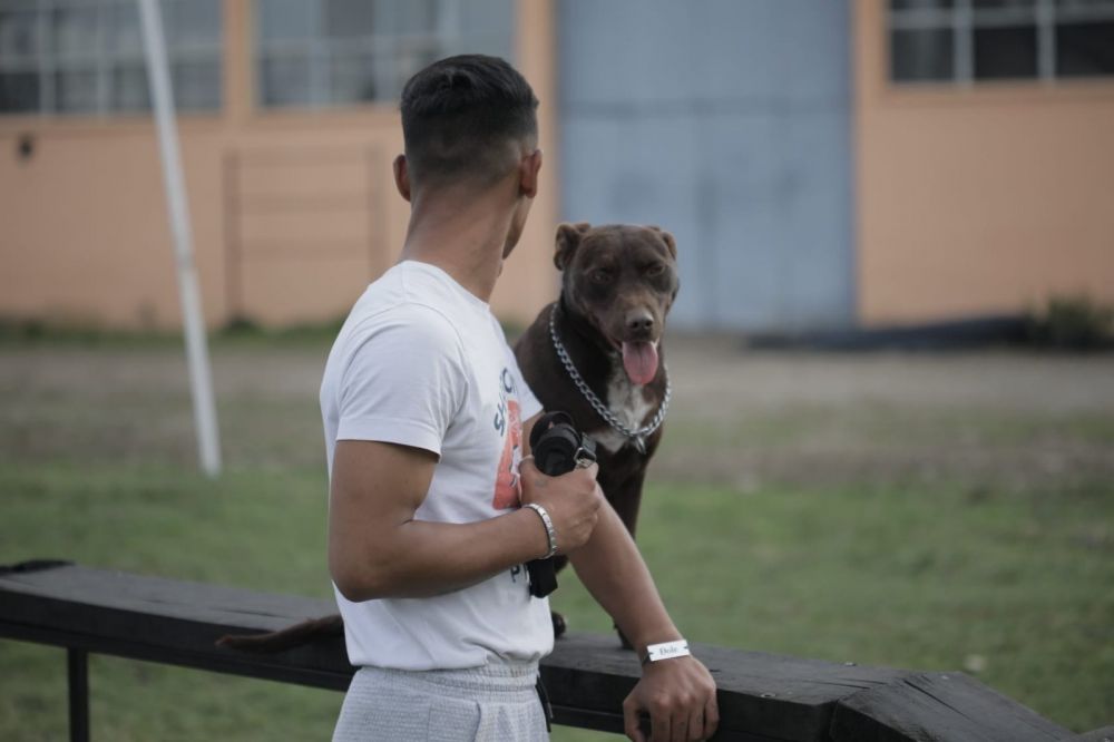 Obukom za rad sa psima do resocijalizacije maloletnih štićenika Vaspitno-popravnog doma