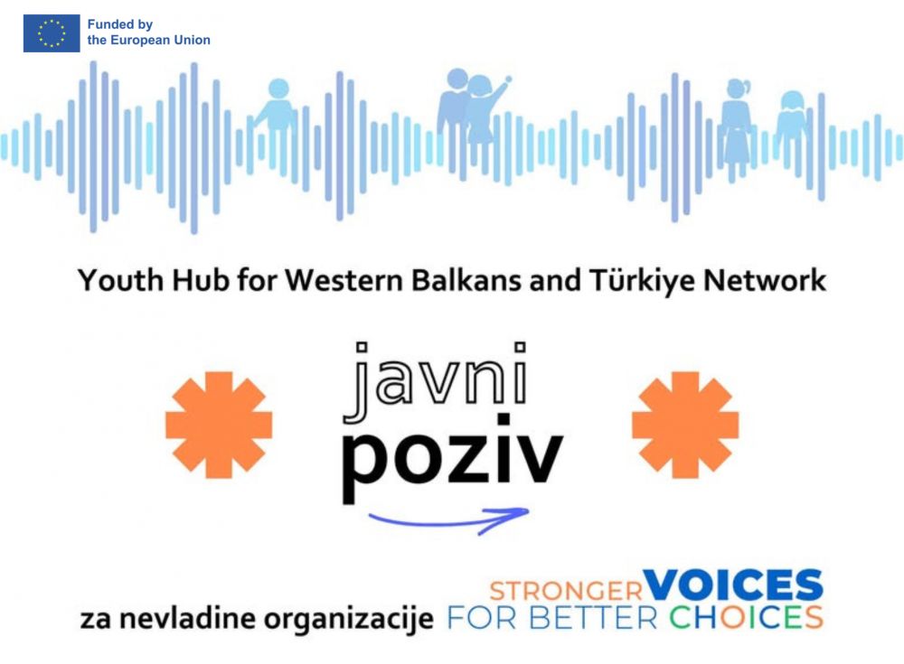 Odabrano osam nevladinih organizacija iz Srbije za podršku u okviru mreže Youth Hub for Western Balkans and Türkiye