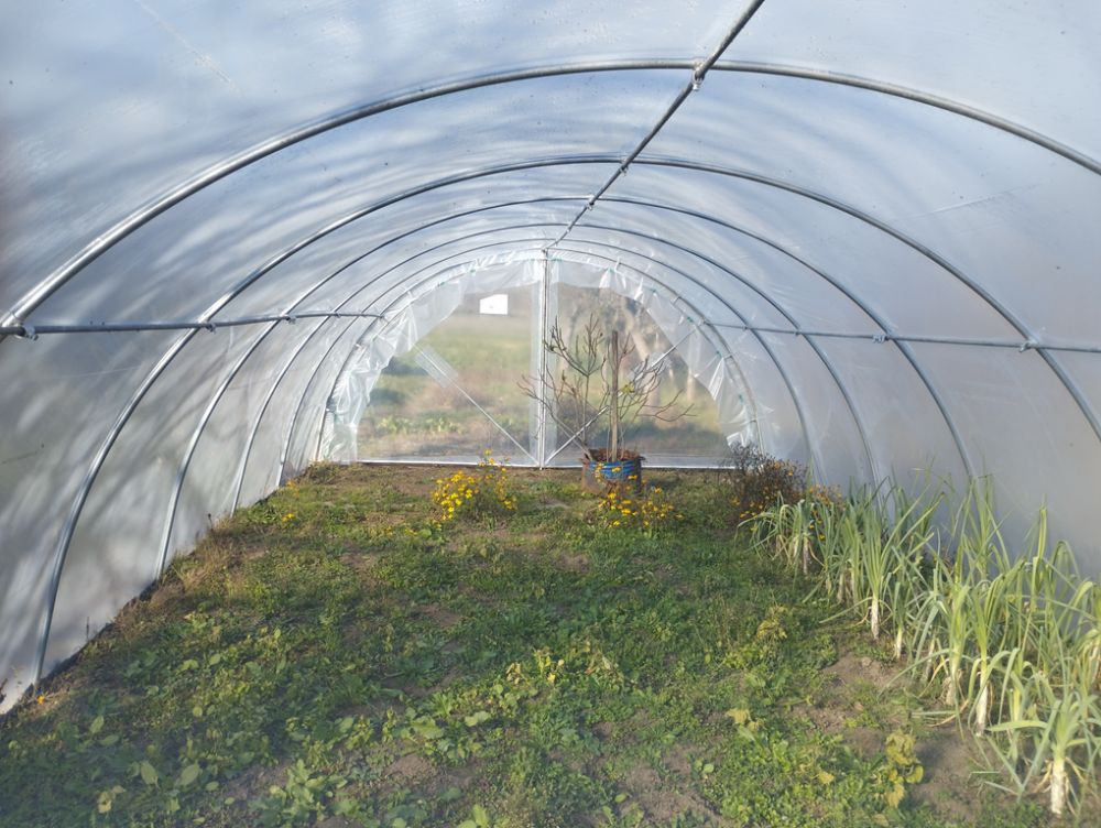 Konkurs za dodelu bespovratnih sredstava za razvoj plasteničke proizvodnje na teritoriji grada Užica u 2026. godini