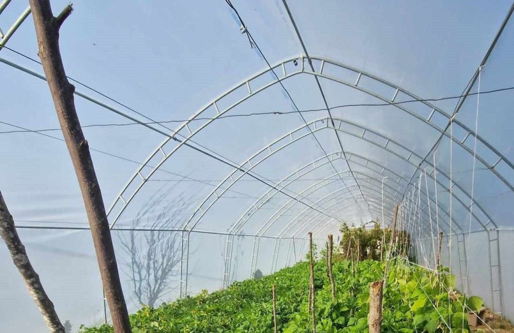Konkurs za dodelu bespovratnih sredstava za razvoj plasteničke proizvodnje na teritoriji opštine Lučani u 2026.godini