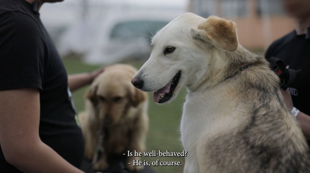 „Šapa spasa" dokumentarni film – trejler