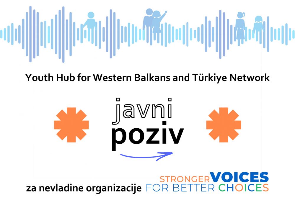 Odabrano osam nevladinih organizacija iz Srbije za podršku u okviru mreže Youth Hub for Western Balkans and Türkiye