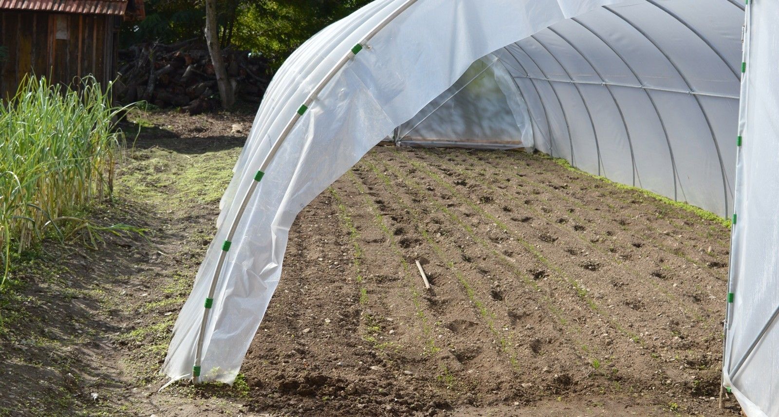 Nova Varoš: Otvoren novi konkurs za dodelu plastenika poljoprivrednim gazdinstvima iz ove opštine